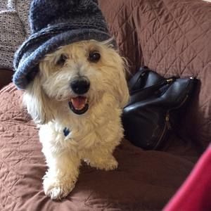 Meet your Posher, Fredda